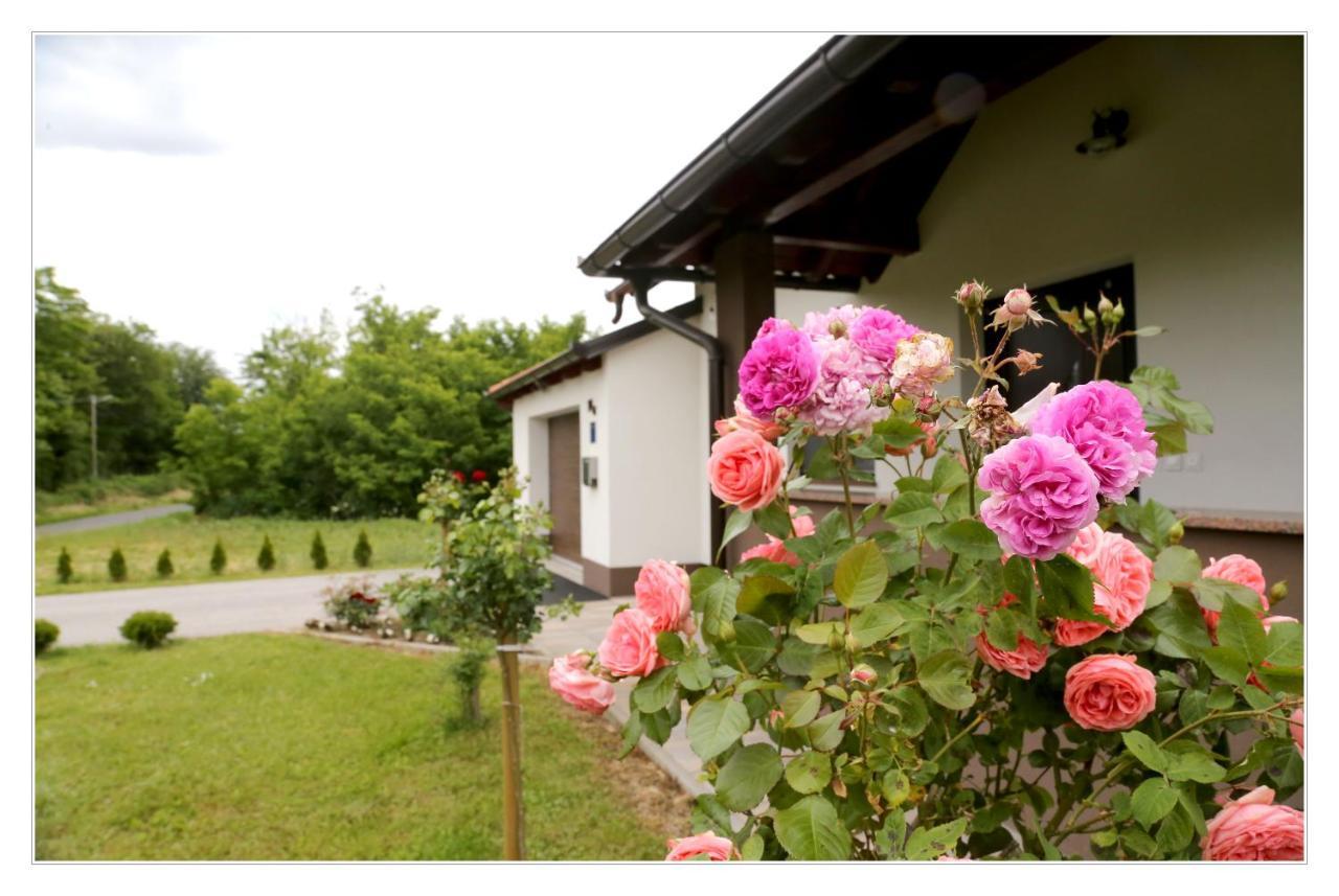 Kuca Za Odmor Medimurski Zdenec Selnica Exterior foto